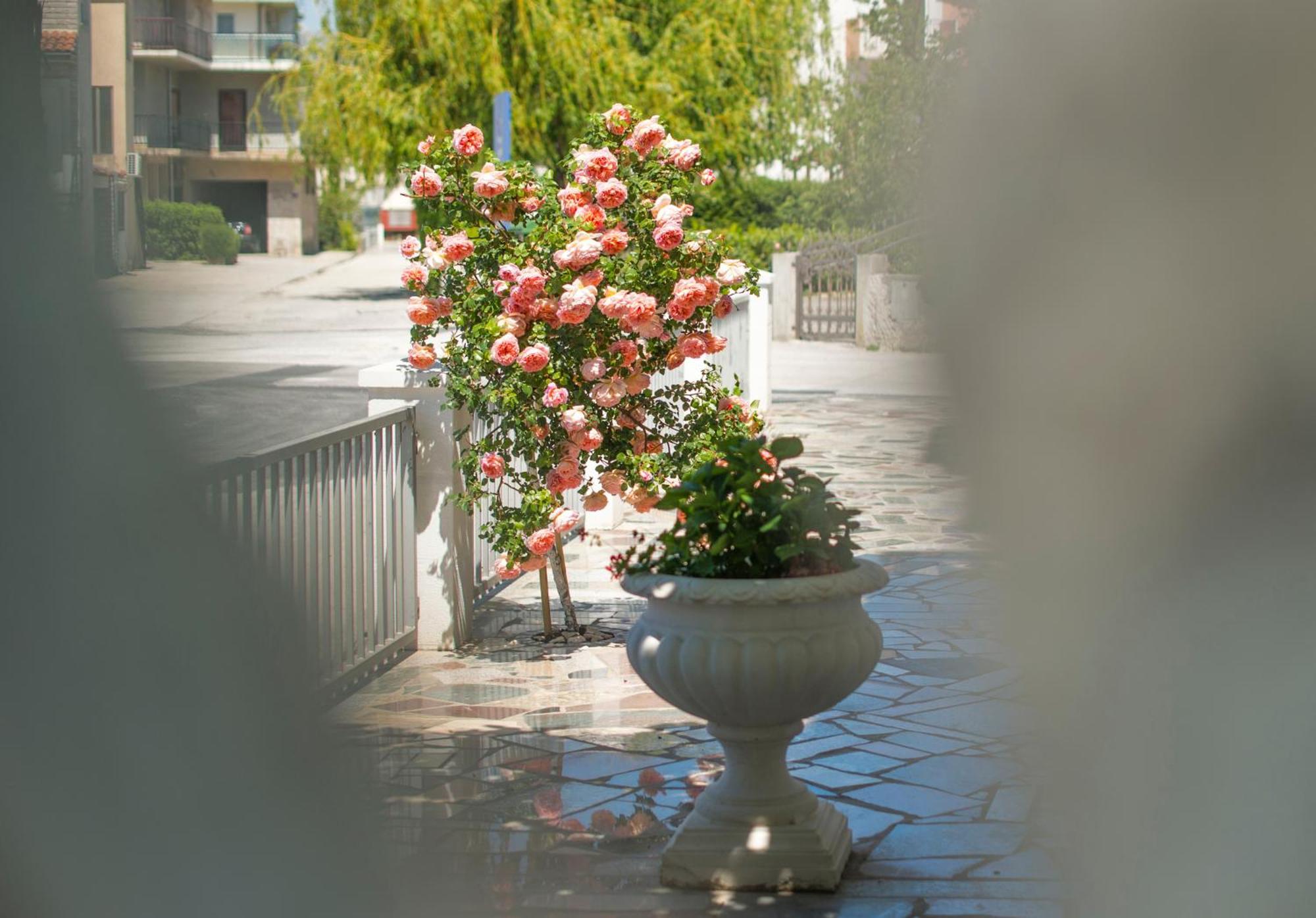 Apartments Nena Подстрана Екстериор снимка